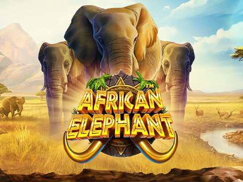 African Elephant