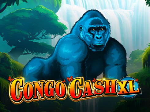 Congo Cash XL